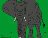 Dibujo Elefante pintado por 123456789o