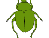Dibujo Escarabajo pintado por ian1105