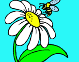 Dibujo Margarita con abeja pintado por aby27