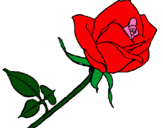 Dibujo Rosa pintado por rositaaa