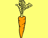 Dibujo zanahoria pintado por zanzoria