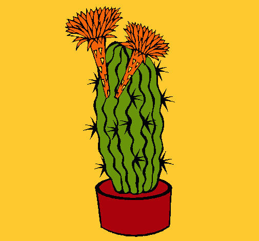 Cactus con flores