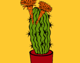 Dibujo Cactus con flores pintado por amalia