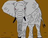 Dibujo Elefante pintado por elefan