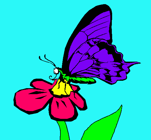 Dibujo Mariposa en una flor pintado por nurisam13