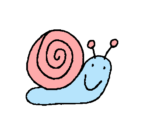 Caracol 4