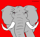Dibujo Elefante africano pintado por abrilghvbhvf