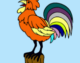 Dibujo Gallo cantando pintado por gallo  puto