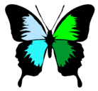 Dibujo Mariposa con alas negras pintado por fatimaguapa