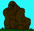Dibujo Gorila pintado por lexu