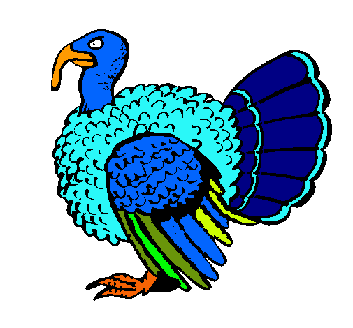 Pavo 