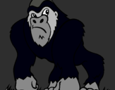 Dibujo Gorila pintado por klklklklklkl