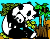 Dibujo Mama panda pintado por Susejp