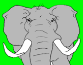 Dibujo Elefante africano pintado por ELSAAMAYA