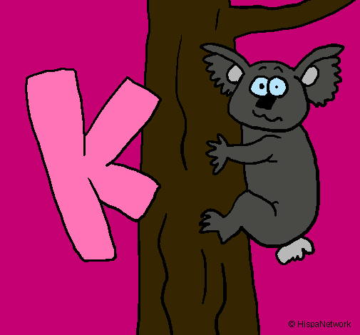 Koala