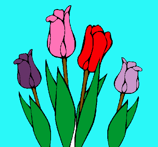 Tulipanes