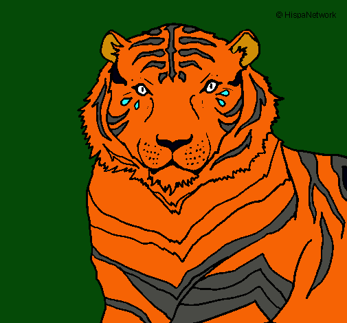 Dibujo Tigre pintado por mauri