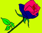 Dibujo Rosa pintado por system