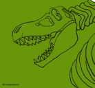 Dibujo Esqueleto tiranosaurio rex pintado por diego4