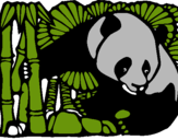 Dibujo Oso panda y bambú pintado por ian1105