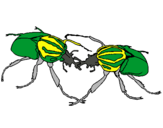 Dibujo Escarabajos pintado por jkoyli