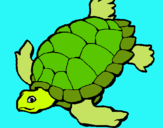 Dibujo Tortuga pintado por mirey