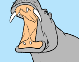 Dibujo Hipopótamo con la boca abierta pintado por jero1