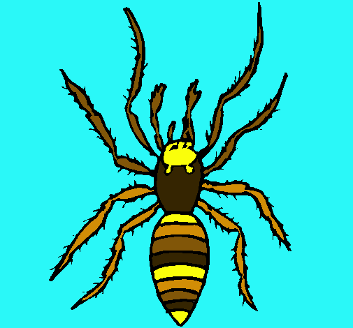 Araña tigre