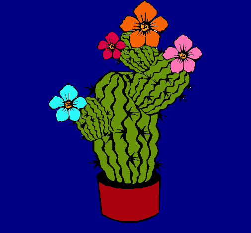 Flores de cactus