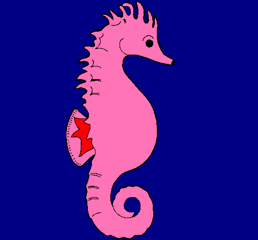 Caballito de mar