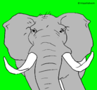 Dibujo Elefante africano pintado por jared200