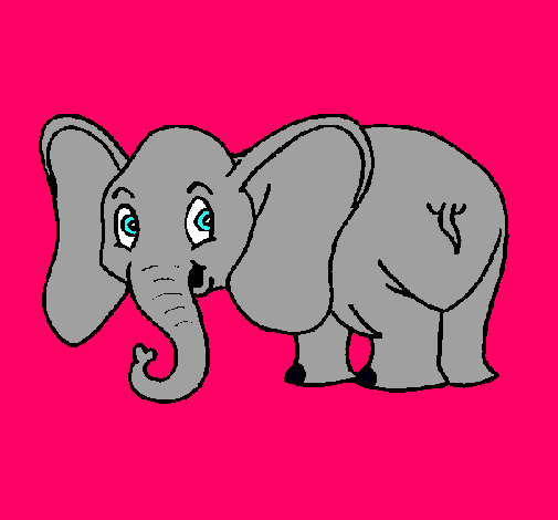 Elefante pequeño