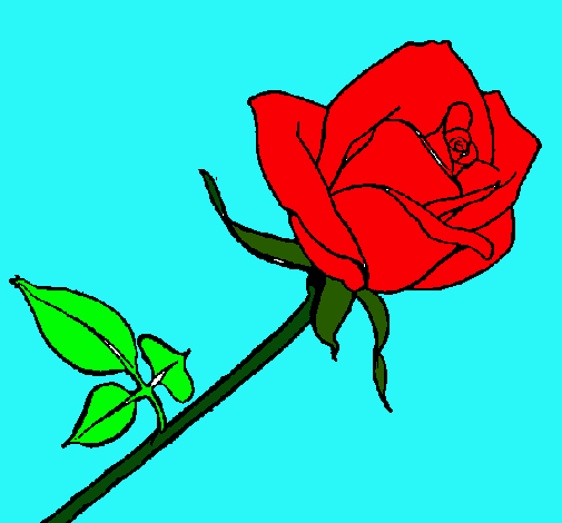 Dibujo Rosa pintado por mycheloka