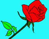 Dibujo Rosa pintado por mycheloka