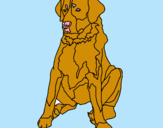 Dibujo Labrador pintado por cachorra