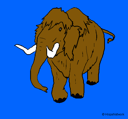 Mamut II