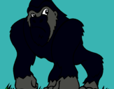 Dibujo Gorila pintado por EMANUELE