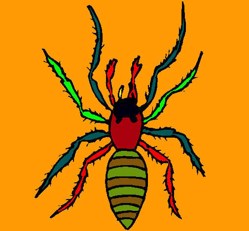 Araña tigre