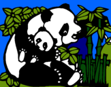 Dibujo Mama panda pintado por pilco