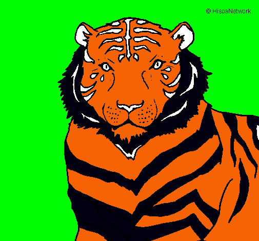 Dibujo Tigre pintado por BLAKE