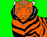 Dibujo Tigre pintado por BLAKE