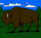 Dibujo Búfalo  pintado por otniel