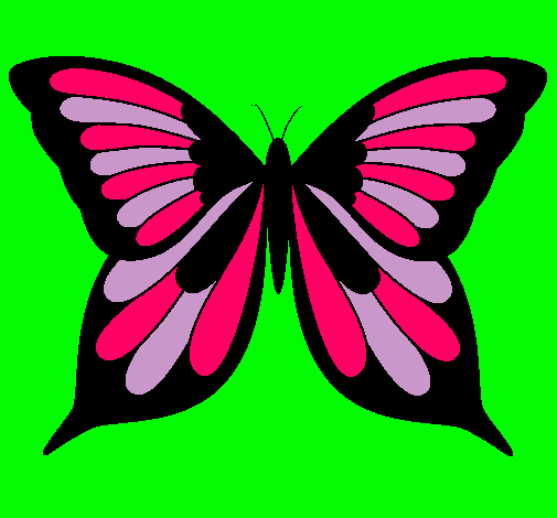 Mariposa