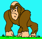 Dibujo Gorila pintado por migel