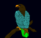 Dibujo Águila en una rama pintado por clemen