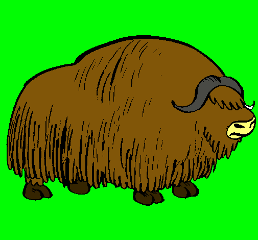 Bisonte