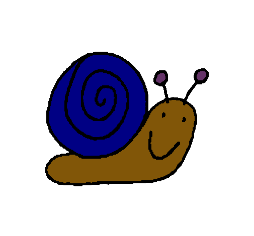 Caracol 4