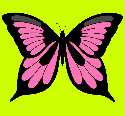 Mariposa