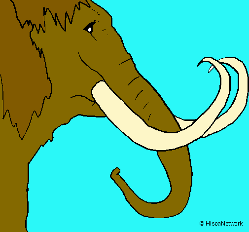 Mamut