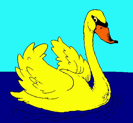 Cisne en el agua